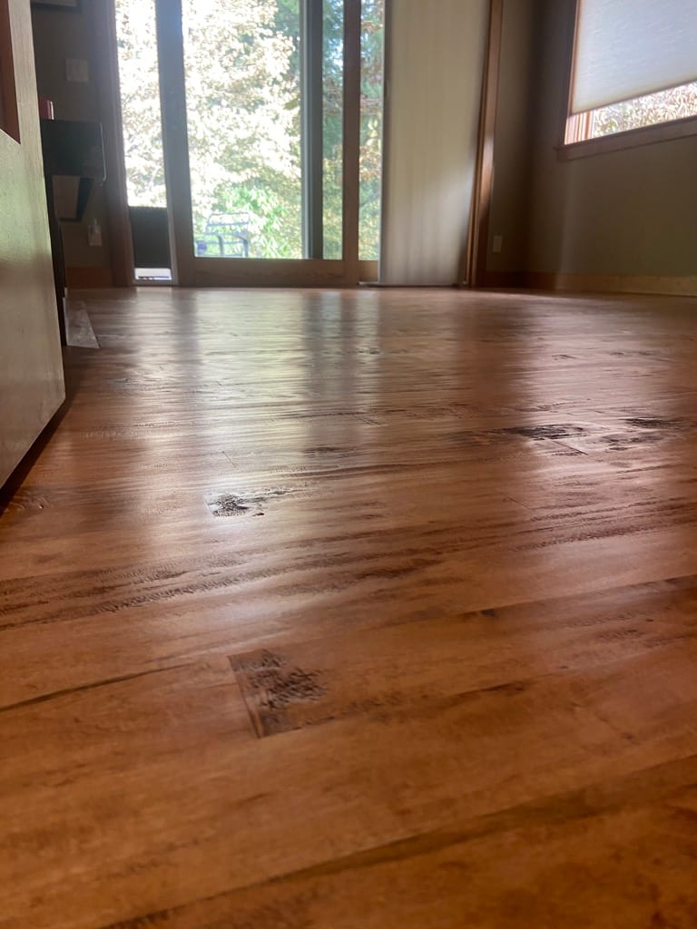 Sun-faded section of hardwood floor before refinishing, Hayden Idaho